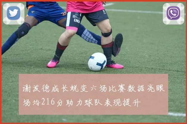 谢泼德成长蜕变六场比赛数据亮眼场均216分助力球队表现提升