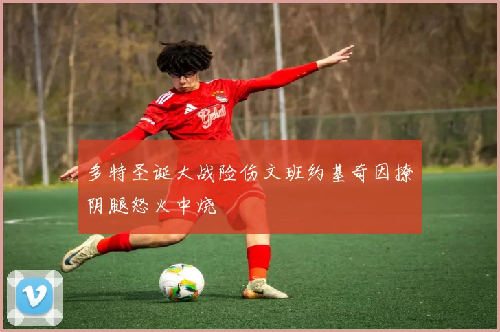 多特圣诞大战险伤文班约基奇因撩阴腿怒火中烧
