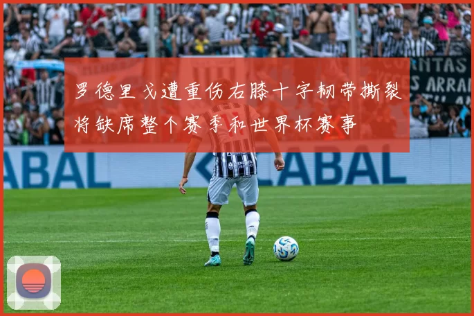 罗德里戈遭重伤右膝十字韧带撕裂将缺席整个赛季和世界杯赛事